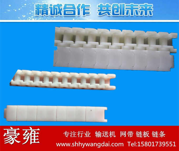 40P塑料链条