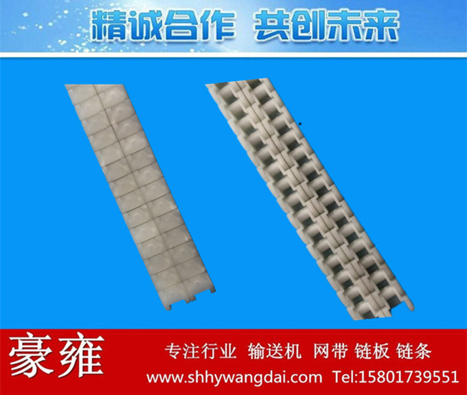 40P/50P/60P双排式塑料链条