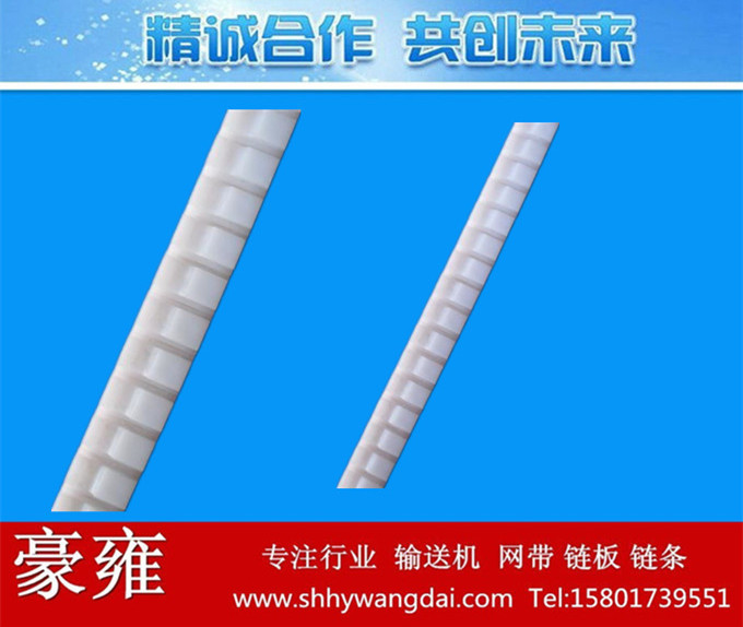 40P/60P凹槽式塑料链条