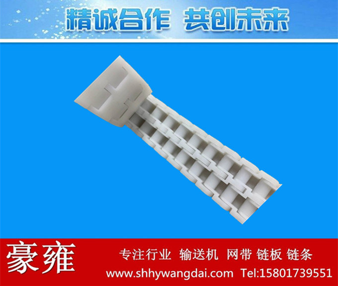 双排齿W32塑料链条