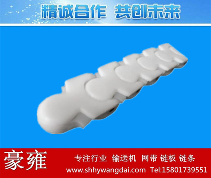 1703带翼龙骨链