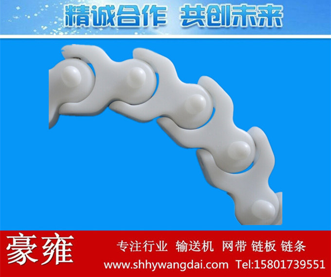 1702龙骨链（带凸点）