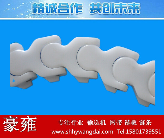 1701TAB塑料龙骨链