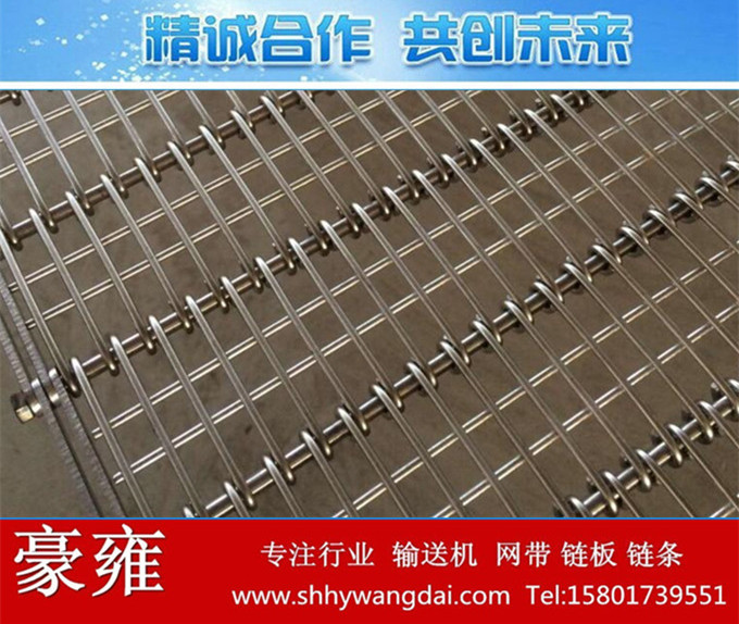 双节距不锈钢眼睛式网链