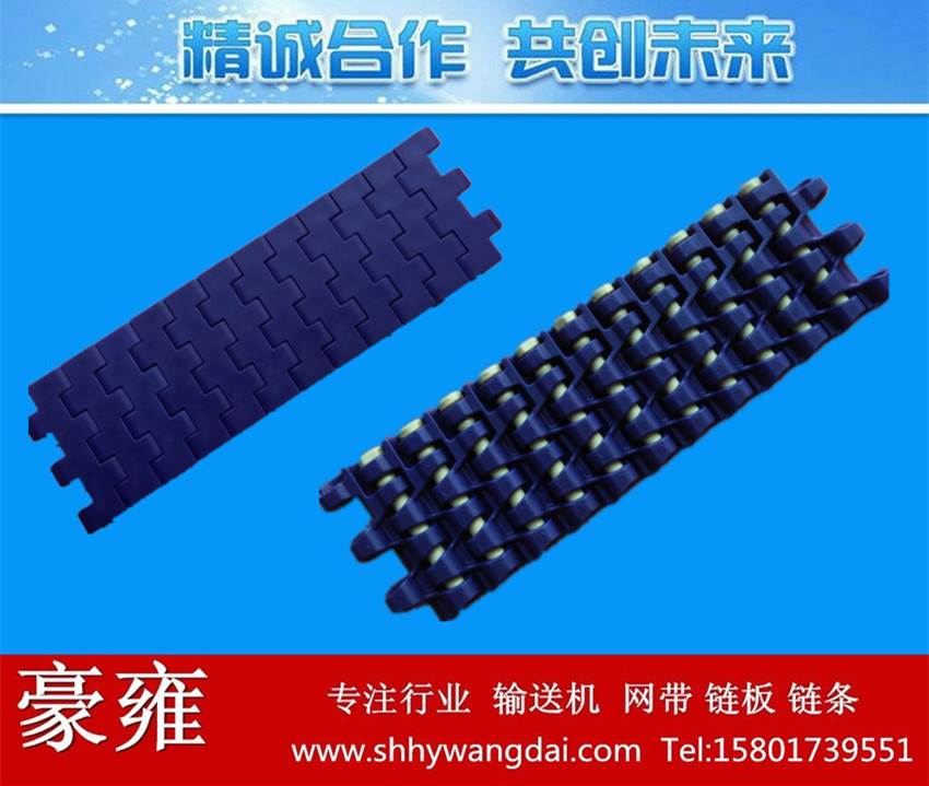 1220平板式网带链