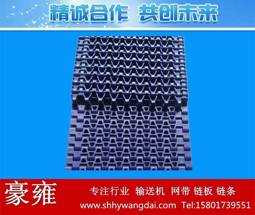 1230平格型塑料网带