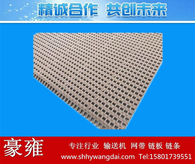 5050平格式网带链