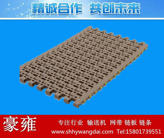 1506平格式塑料网链