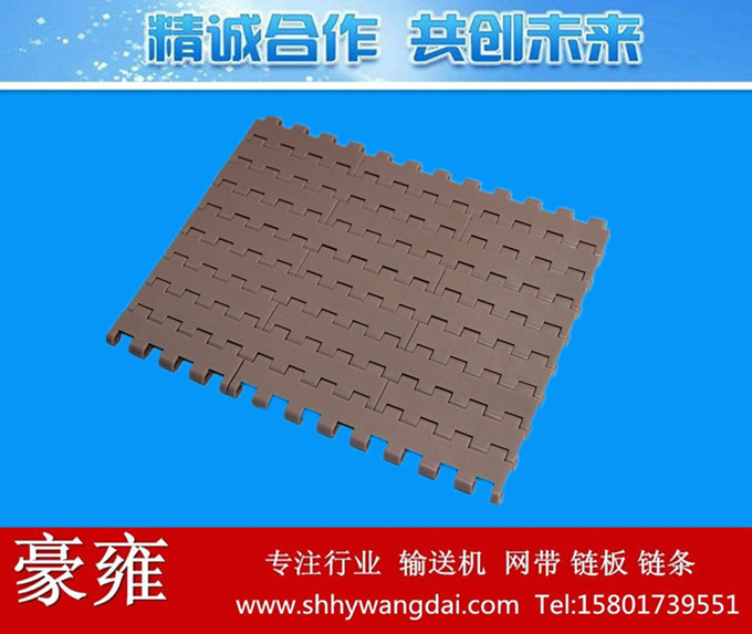 5935平板型塑料模块网带