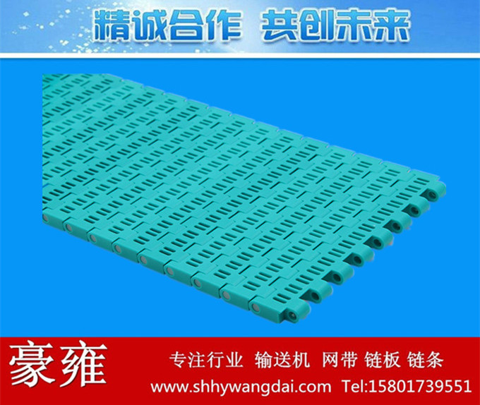 5935平格型塑料网带