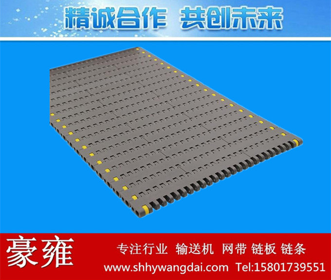 8505平板型塑料网带