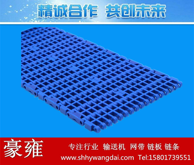 1000平格式塑料网带
