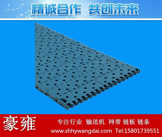 1000圆孔型塑料网链