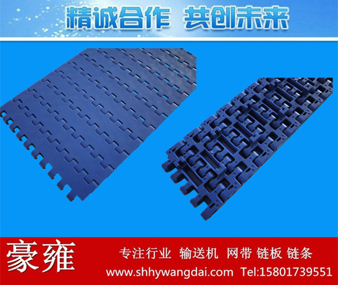1005平板带限位塑料网带