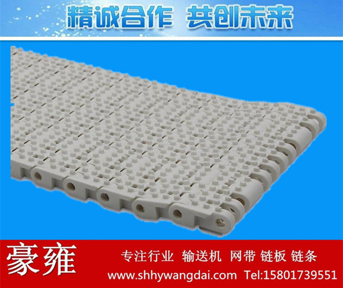 7705凸点式塑料网链