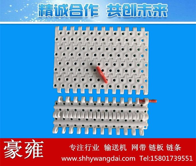 976圆孔型塑料网带链