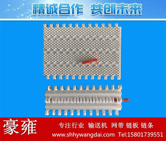976凸点型塑料模块网带链