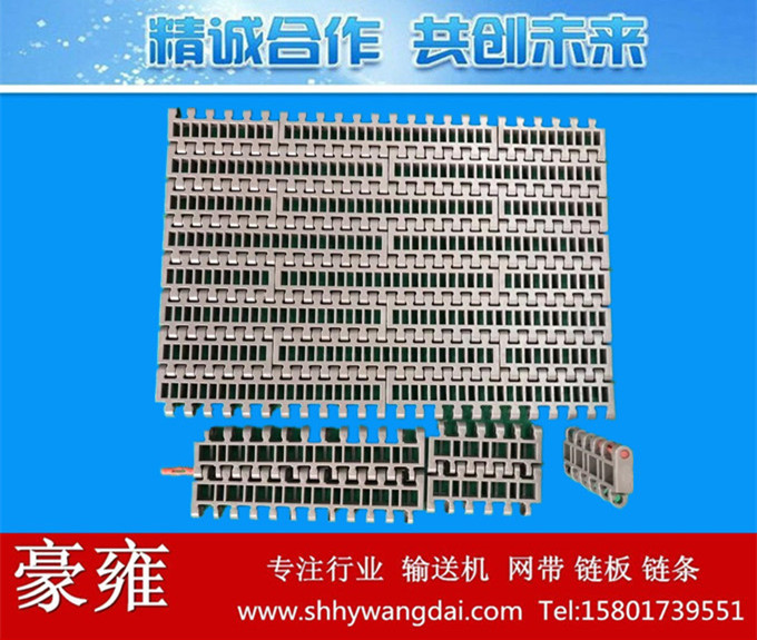 966平格式塑料网链