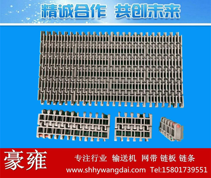 966凸肋式塑料链网