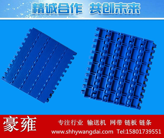 QNB平板式塑料网带