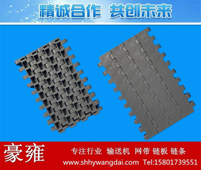 5818塑料模块网链