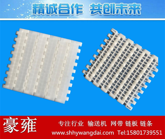 2530平板式塑料网带