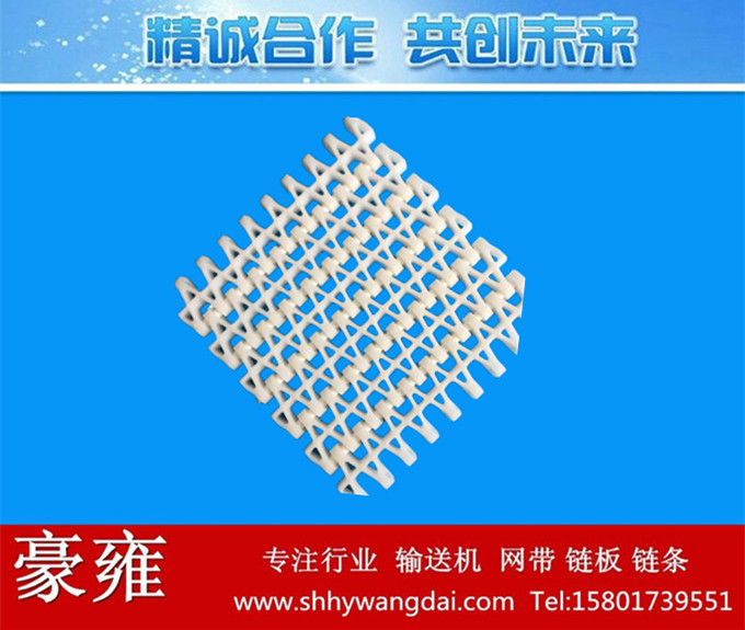 2533平格型塑料网链