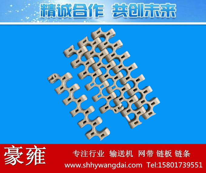 2522塑料模块网带链
