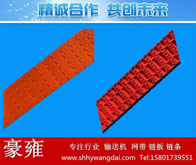 2250塑料模块网链
