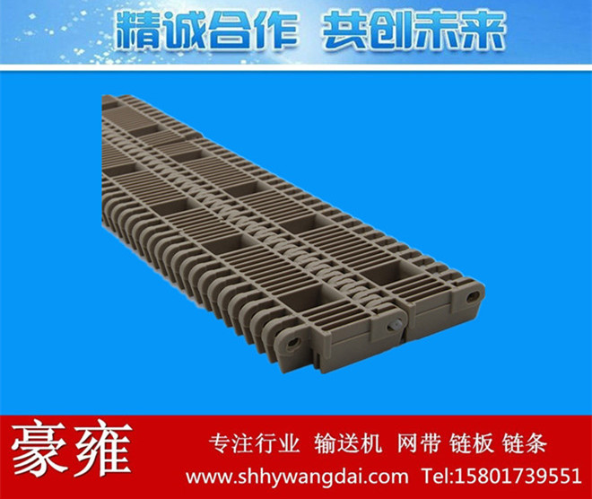 4809凸肋杀菌线网带链
