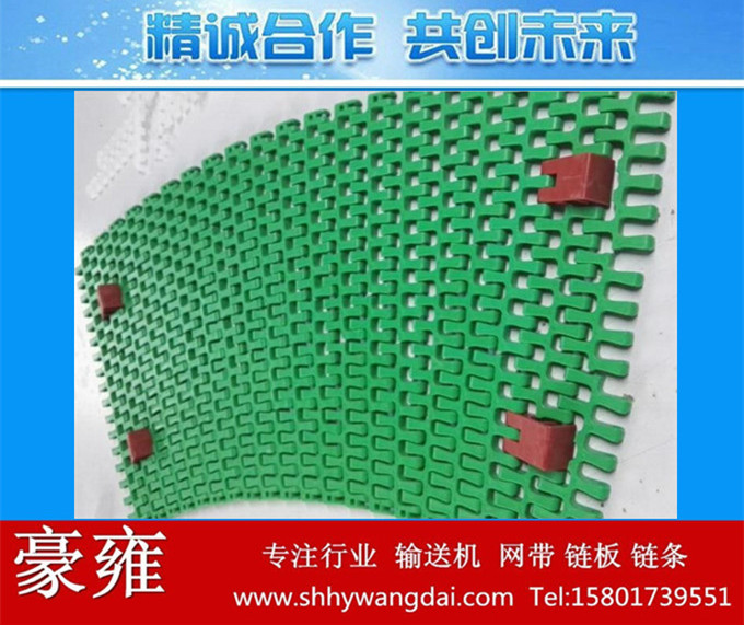 300挡块式/导向式网带链