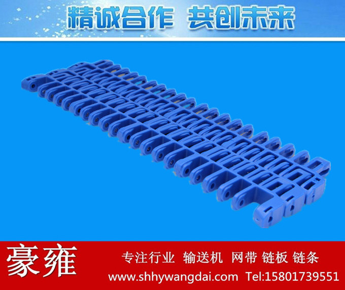 7960平格式网带链