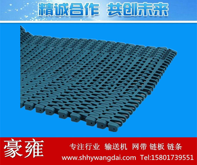 1285转弯式网带链