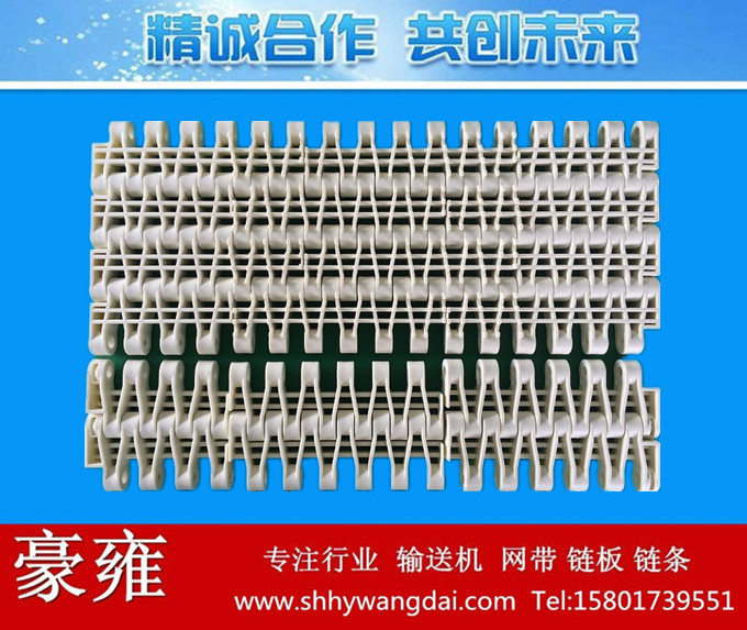3812凸点式/平格式网带链