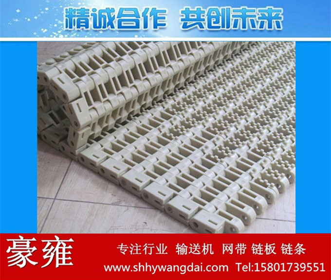 1700防滑凸点网带链