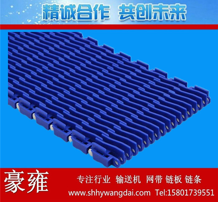 900凸肋型网带链