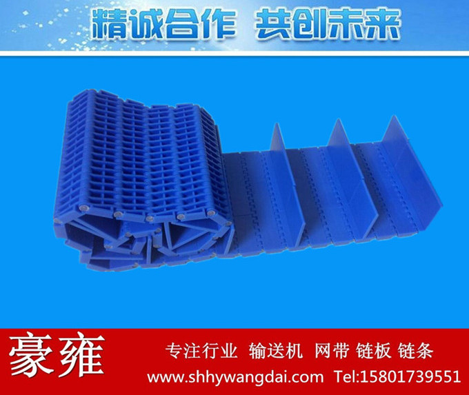 900挡板加裙边型塑料网链