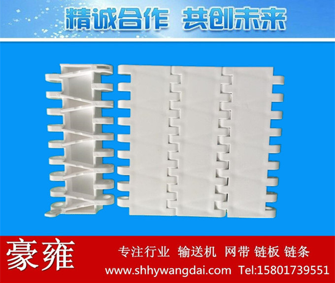 OPB平板型塑料网带