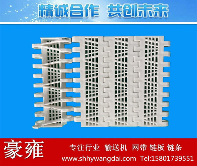 OPB平格型加筋塑料网带