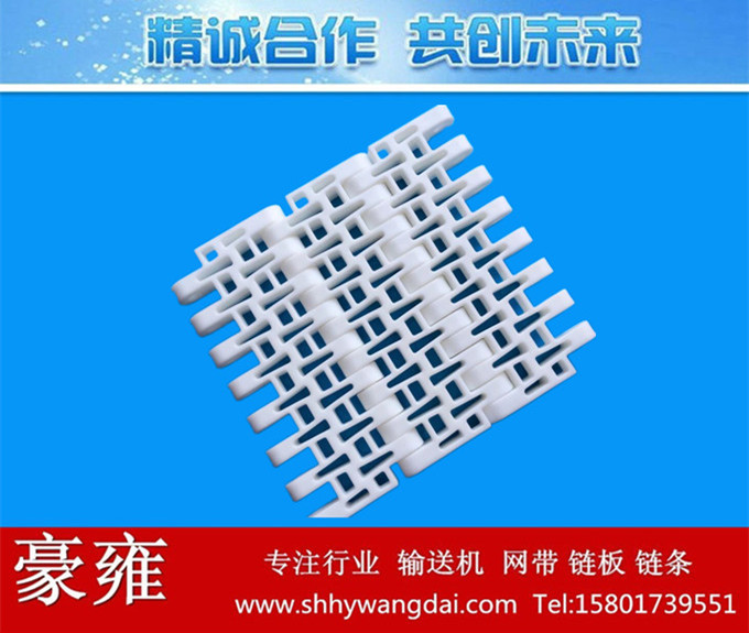 5032平格塑料网带链