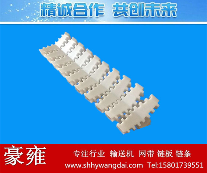 63V形式柔性链板