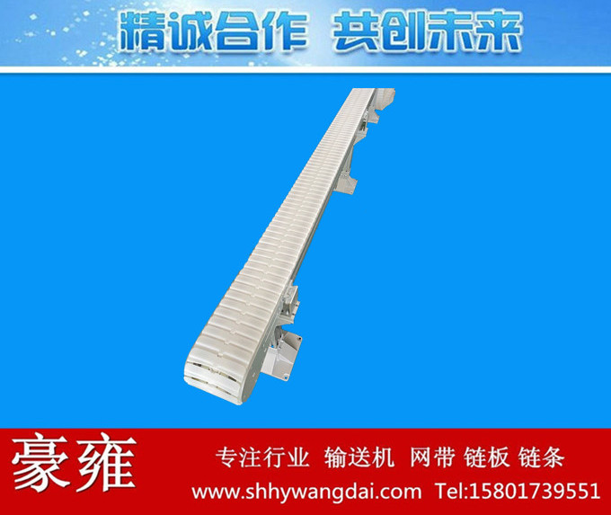 175柔性链直行式输送机