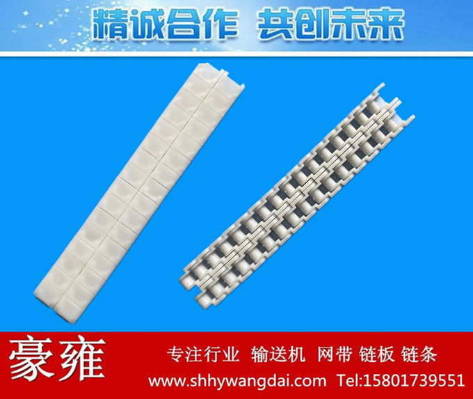 50P双排式塑料链条