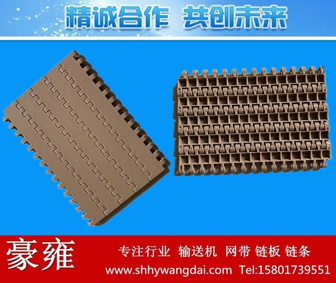 5938平板式网链传送带
