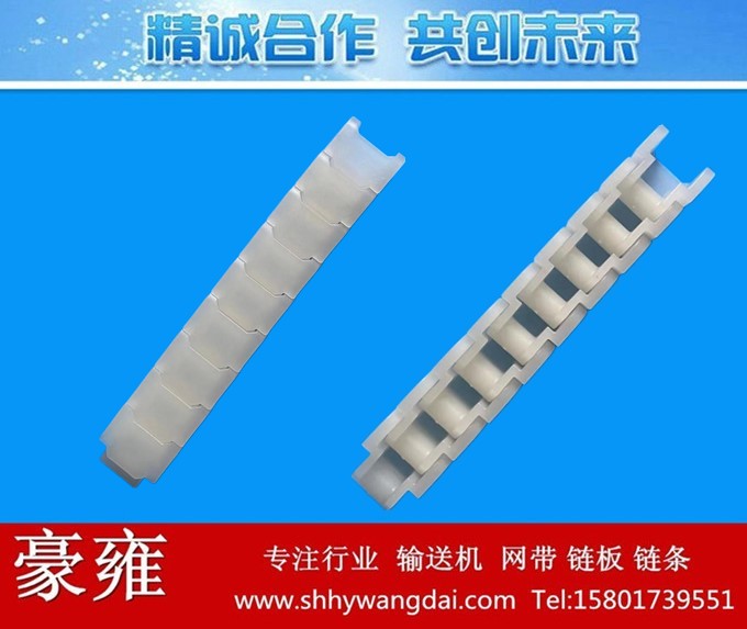 40P/50P/60P/PVDF塑料链条